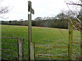 Footpath to Brilley Court