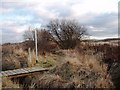 Path to the Teesdale Way at Portrack