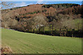 Fields by the Afon Dulas