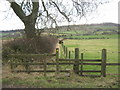 Footpath from Shildon to Redworth