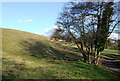 Wom Brook Walk at Giggety, Wombourne, Staffordshire