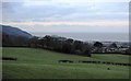 Trees on the edge of Porlock