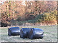 Wrapped Bales, south of A39, Washford