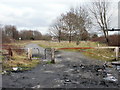 Start of a path to Liswerry Pond, Newport