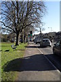 Approaching a pedestrian crossing on the  B2131 at Shottermill