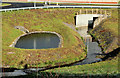 Settlement pond, Banbridge