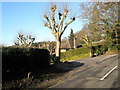 Approaching the junction of Farnham Lane and Weysprings