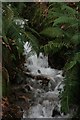 Small stream by the path to Porlock