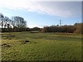 Meadow near Trebell Green