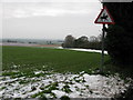 Looking SW along field boundary from Way Hill