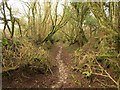 Footpath to Breney Common