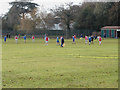 Recreation Ground, Sheets Heath