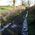 Broken ice, Mill Lane