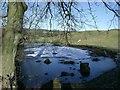 NS7478 : Frozen Pond near Banton by Robert Murray