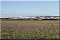 View of Yedingham Ings