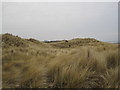 NU2033 : St Aidan's Dunes by Les Hull