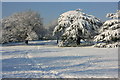 TQ5839 : Calverley Park: snow scene by N Chadwick