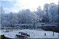 Frosted Trees on the Corbet