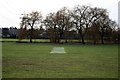 Cricket pitch