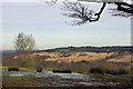 View over Pippingford Park