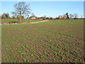 Arable land at Martley