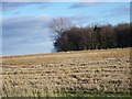 Stubble and game crop near Friars Hill