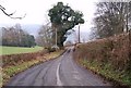 Lane with neatly trimmed hedges