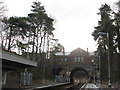 Trees at Tadworth station