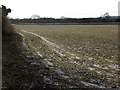 TQ2156 : Frosty field edge by Stephen Craven
