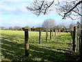 Row of posts in a field