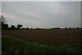 Farmland near Manor Farm