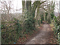 Bridleway to Headley