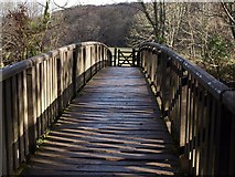 SX5158 : Footbridge over the Plym by Derek Harper