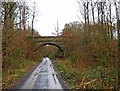 Bridge over former railway line in Wyre Forest