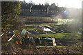 Blacklands Farm Allotments