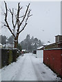 Snow at Woodvale Avenue, Omagh