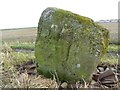 NO5704 : Skeith stone by James Allan