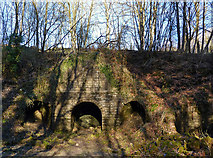 NS9675 : Lime kiln in Muiravonside Country Park by Eileen Henderson