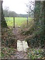 Footbridge, Bloxworth