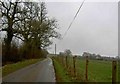 Single track lane near Dodington