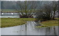 Flooded fields and lake