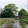 Llangollen Canal near Hurleston Junction, Cheshire