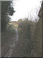 Bridleway near Walton