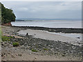 Looking up river from Beachley