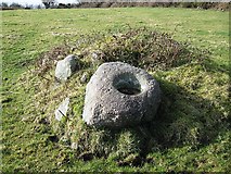 S6318 : Bullaun Stone by kevin higgins