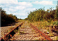 overgrown rail tracks, Braehead, 1977