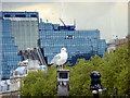 London Skyline, London EC3