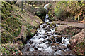 Overspill, Devonport Leat - Dartmoor