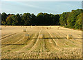 NJ7009 : Field with hay bales near Linton House by Steven Brown