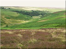 NY9847 : The valley of Burnhope Burn (2) by Mike Quinn